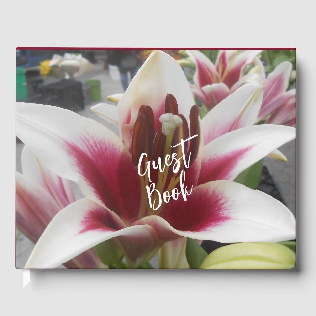 Star Gazer Guest Book (Front)