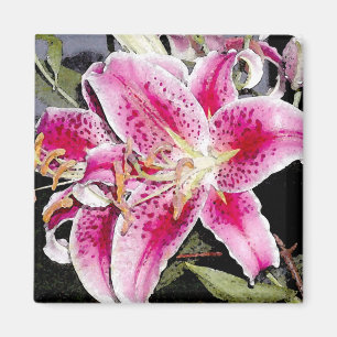 Star Gazer Lily Art Magnet