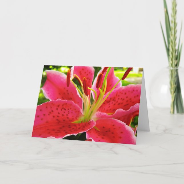 Star Gazer Lily Card (Front)