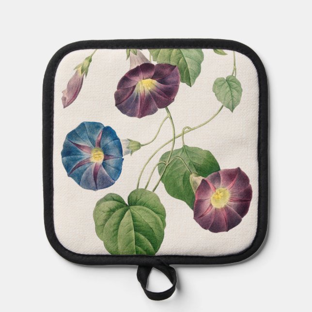 Star-glory Morning–glory, Pierre-Joseph Redouté Pot Holder (Front)