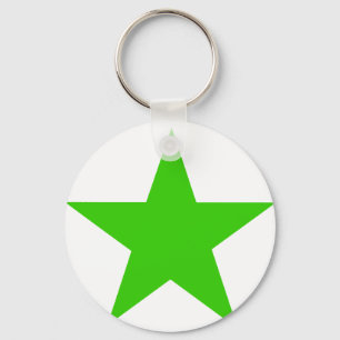 Star Green The MUSEUM Zazzle Gifts Key Ring