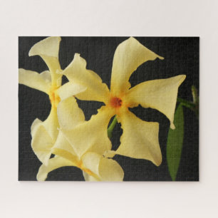 Star Jasmine Flower 16x20 520pc jpa Jigsaw Puzzle