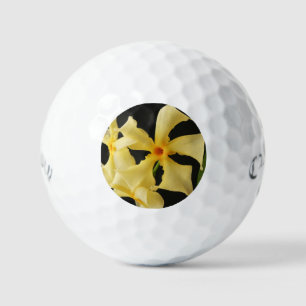 Star Jasmine Flower css gbcnm Golf Balls