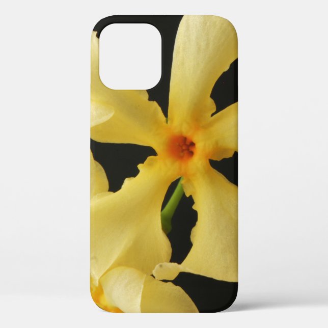 Star Jasmine Flower ipha Case-Mate iPhone Case (Back)