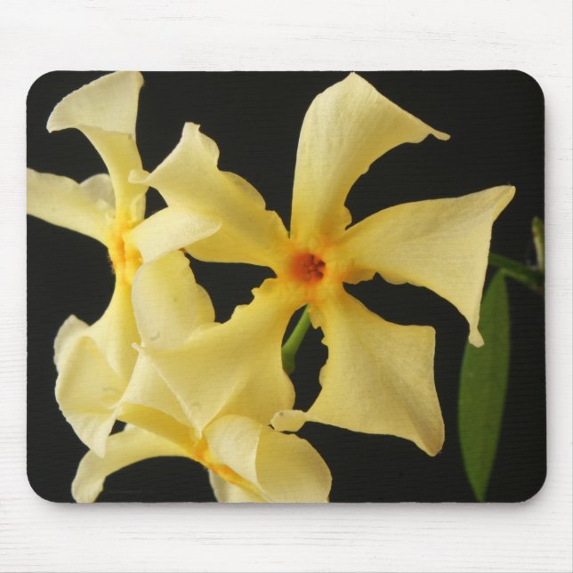 Star Jasmine Flower mpcnm Mouse Mat (Front)