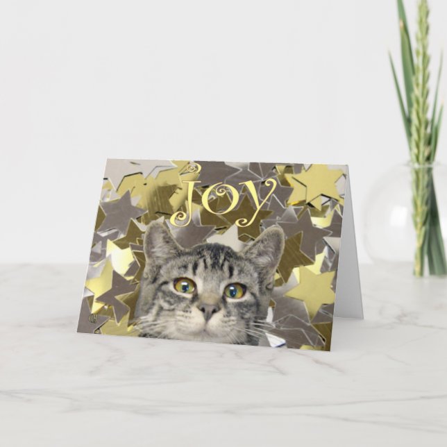Star Kitten Holiday Card (Front)