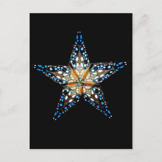 Star LIght #2 Postcard