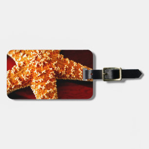 Star Luggage Tag