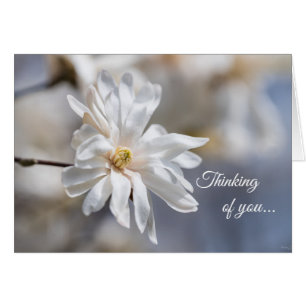 Star Magnolia Bloom Thinking Of You Card
