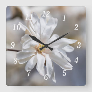 Star Magnolia Bloom Wall Clock