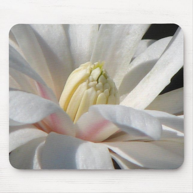 Star Magnolia Mouse Mat (Front)