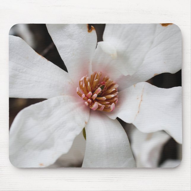 Star Magnolia Mouse Pad (Front)