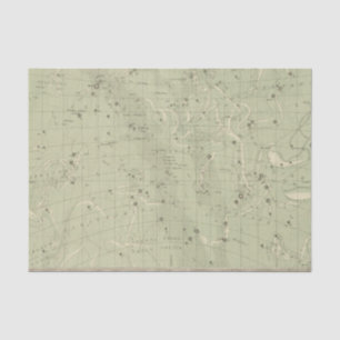 Star map 2 tissue paper