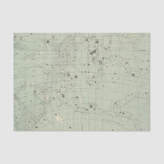 Star map 2 tissue paper (Front)