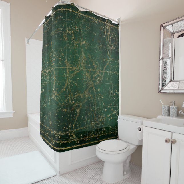 Star Map Shower Curtain (In Situ)