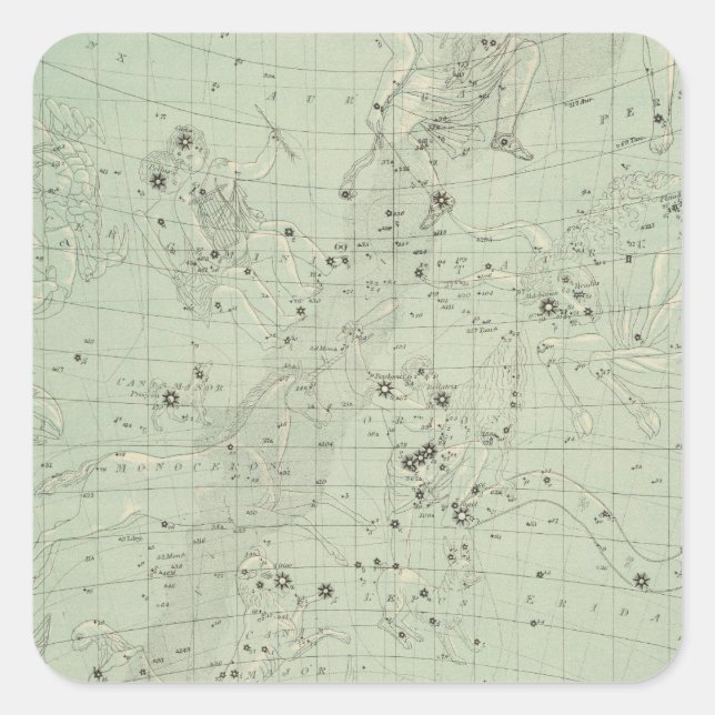 Star map square sticker (Front)