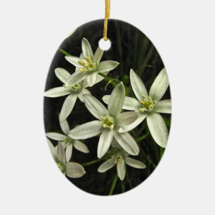 Star of Bethlehem Ceramic Tree Decoration