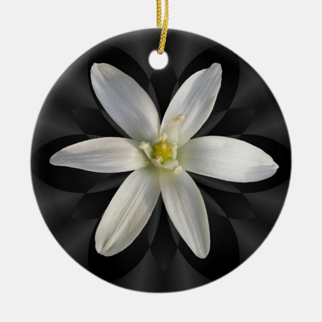 Star of Bethlehem flower ~ ornament (Front)