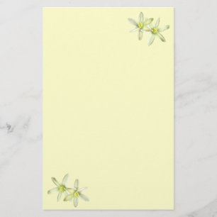 Star of Bethlehem Stationery