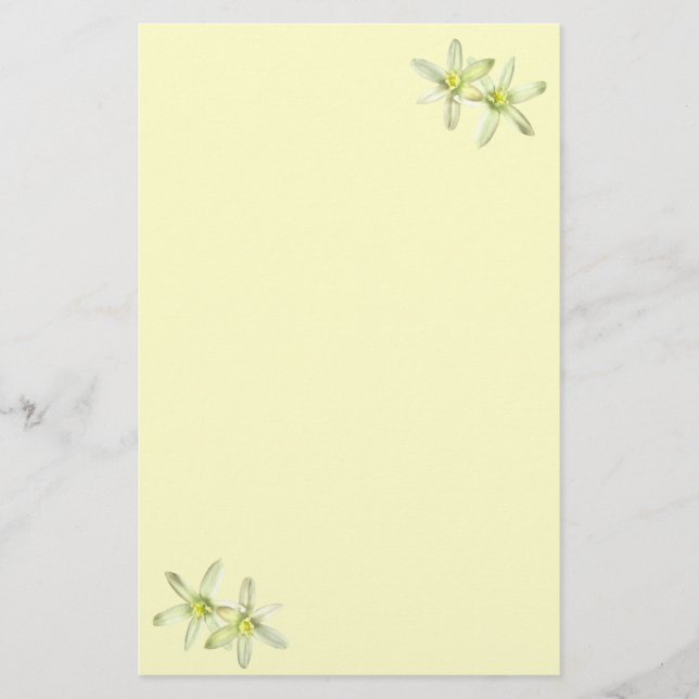 Star of Bethlehem Stationery (Front)