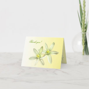 Star of Bethlehem Thank You Card