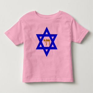 STAR of David & Symbol of LIFE Toddler T-Shirt