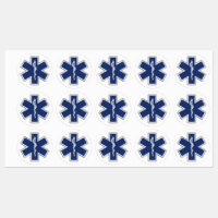 Star of Life Paramedic Carbon Fibre Style