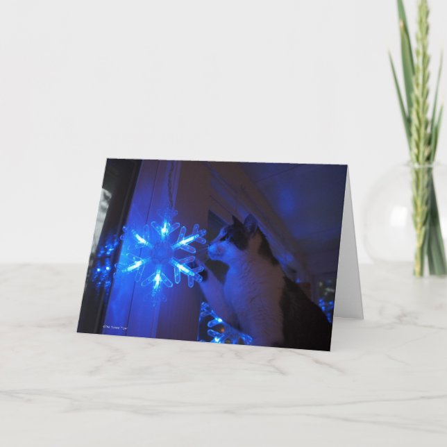 Star of Wonder Holiday Card (Front)