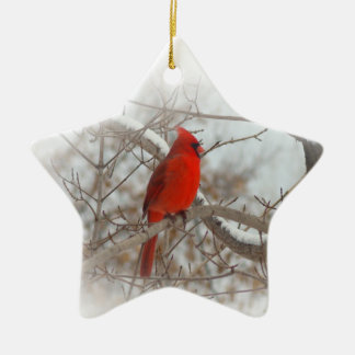 Star Photo Ornament