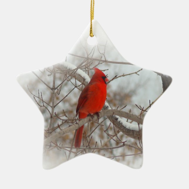 Star Photo Ornament (Front)