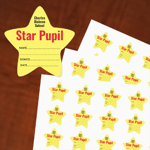 Star Pupil at school Sticker