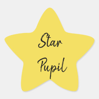 Star Pupil Star Sticker