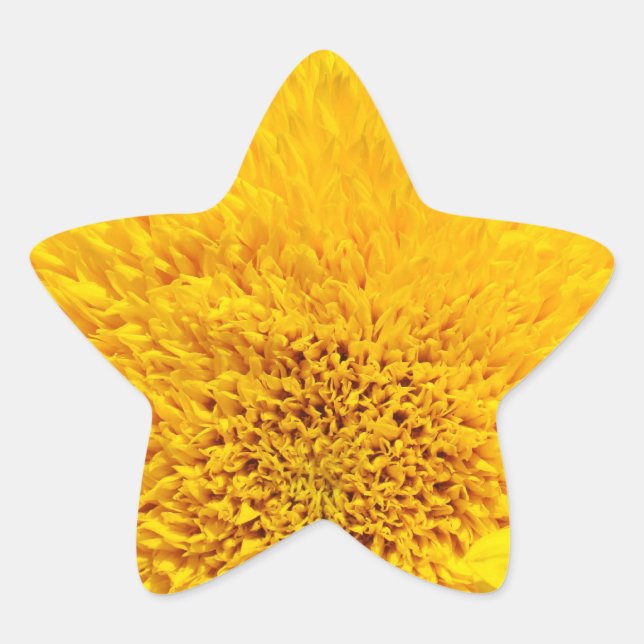 Star Shape stickers Yellow Sunflower Add Your Text (Front)