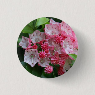 Star Shaped Kalmias 3 Cm Round Badge