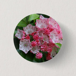 Star Shaped Kalmias 3 Cm Round Badge