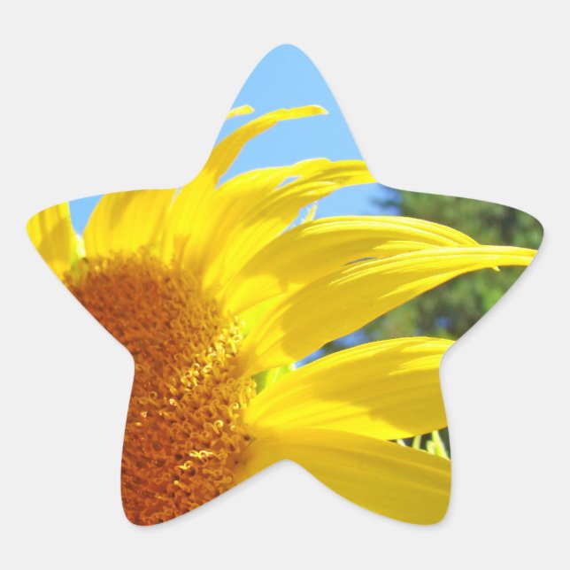 Star Shaped stickers Envelope Seals Sunflower (Front)