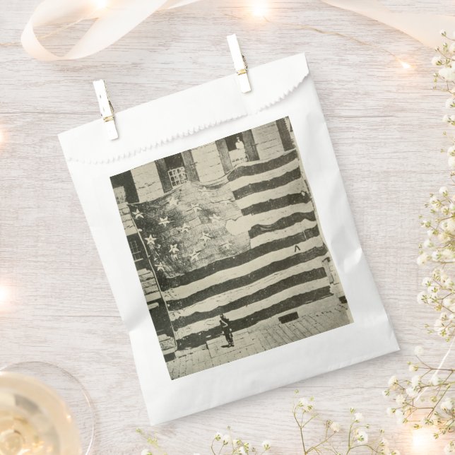 Star Spangled Banner: American Flag on Display Favour Bags (Clipped)
