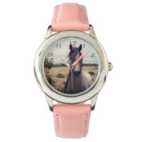 Star The Arab Horse,