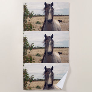 Star The Arab Pony, Beach Towel