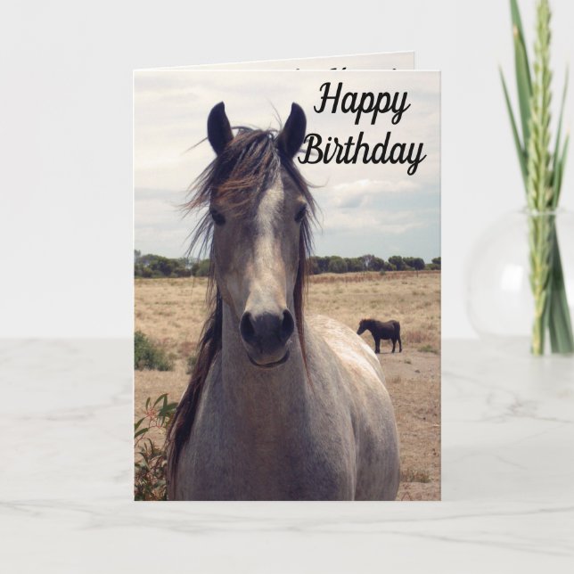 Star The Arab Pony, Birthday Card (Front)