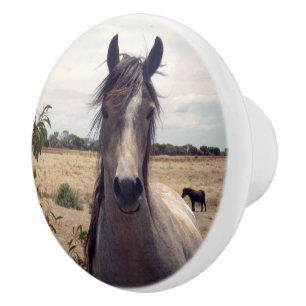 Star The Arab Pony, Ceramic Knob