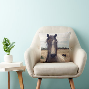 Star The Arab Pony, Cushion