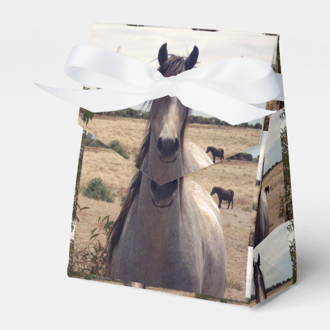 Star The Arab Pony, Gift Favor Box (Front Side)