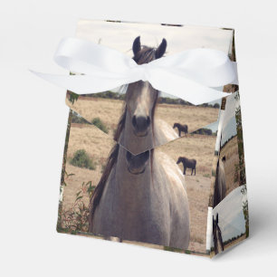 Star The Arab Pony, Gift Favour Box