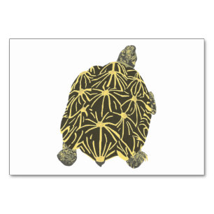 Star Tortoise Turtle Reading Flashcards for adults Table Number