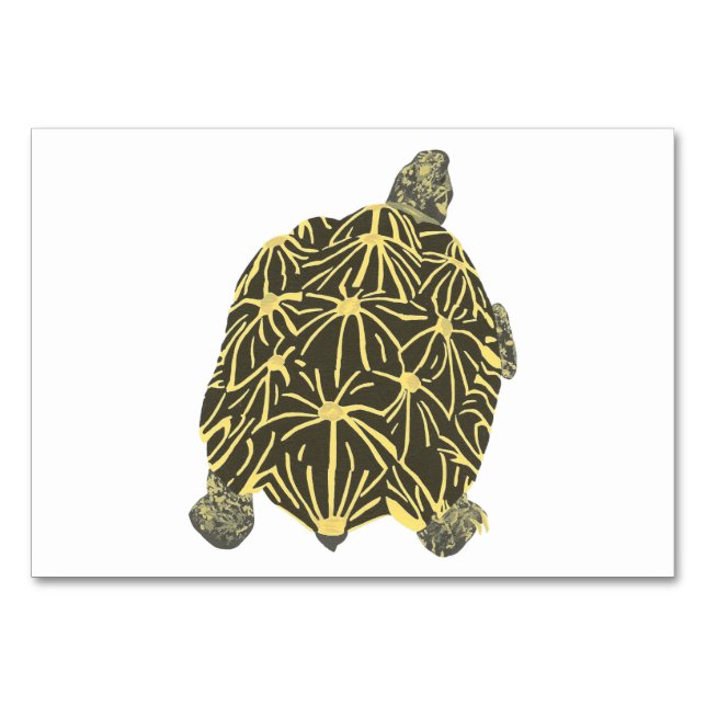 Star Tortoise Turtle Reading Flashcards for adults Table Number (Front)
