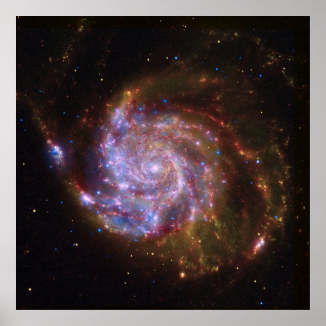 Starbirth in the Pinwheel:  M101 Galaxy Poster (Front)