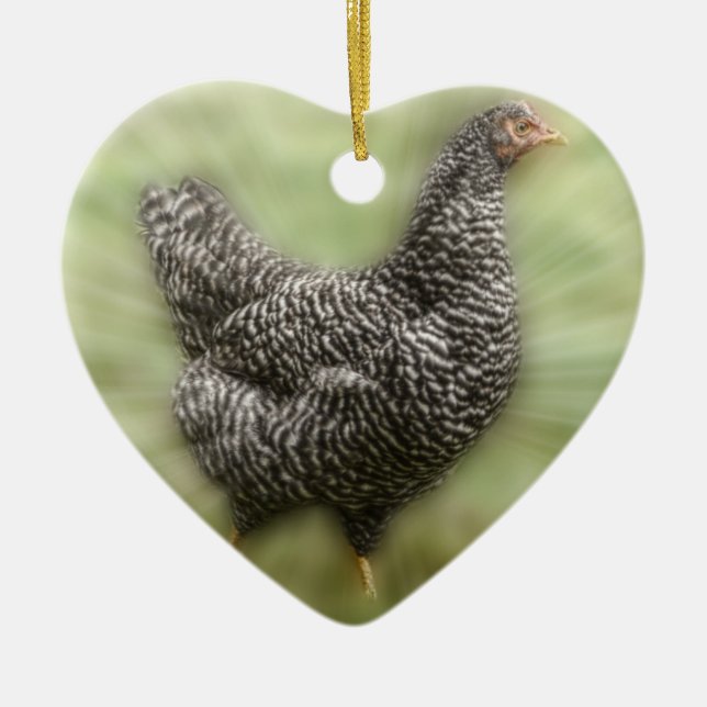 Starburst Chicken Young Barred Plymouth Rock Hen Ceramic Tree Decoration (Front)