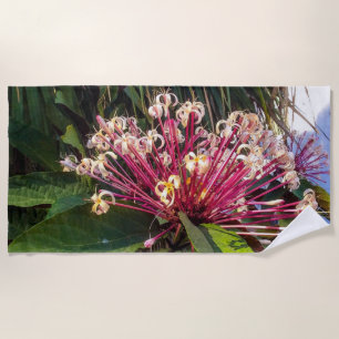 Starburst Clerodendrum Flowers Beach Towel
