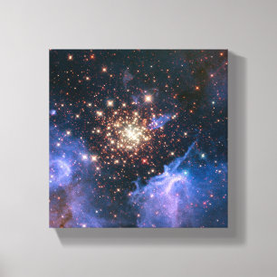 Starburst Cluster Canvas Print